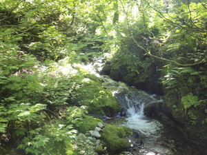 杢蔵山登山道