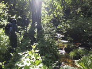 杢蔵山登山道