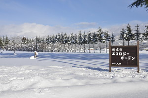 エコロジーガーデンの雪景色