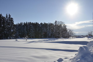 晴天の雪景色
