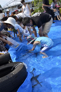 魚のつかみ取り