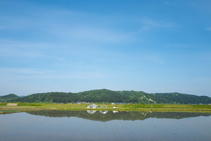 田植え時期