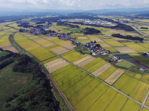 角沢（農林大学校から）