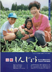 1991年 広報しんじょう7月号